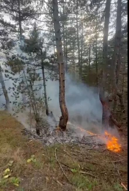 KASTAMONU’NUN TAŞKÖPRÜ İLÇESİNDE YILDIRIM