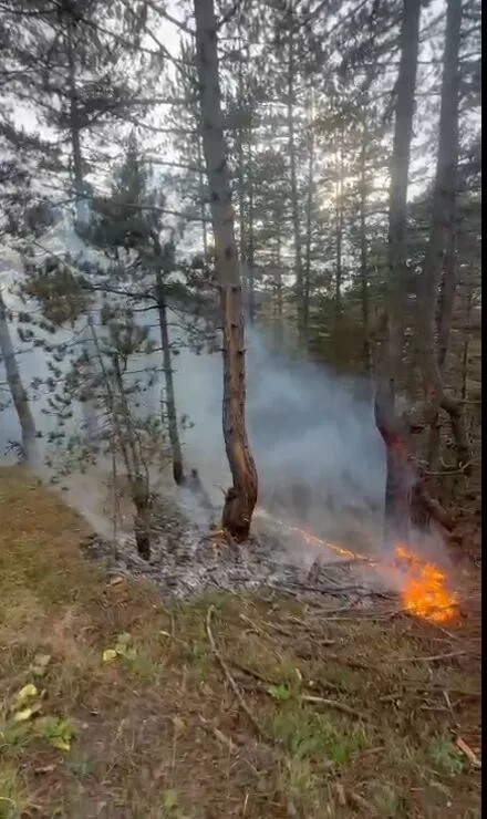 KASTAMONU’NUN TAŞKÖPRÜ İLÇESİNDE YILDIRIM DÜŞMESİ SONUCU ORMANLIK ALANDA YANGIN ÇIKTI.