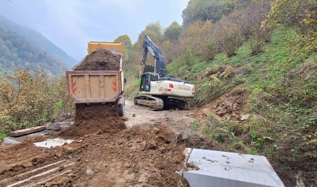 DÜZCE’DE YOLLARDA OLUŞABİLECEK SORUN