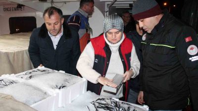 DÜZCE TARIM VE ORMAN MÜDÜRLÜĞÜNE BAĞLI EKİPLER AKÇAKOCA LİMANINDA HAMSİ