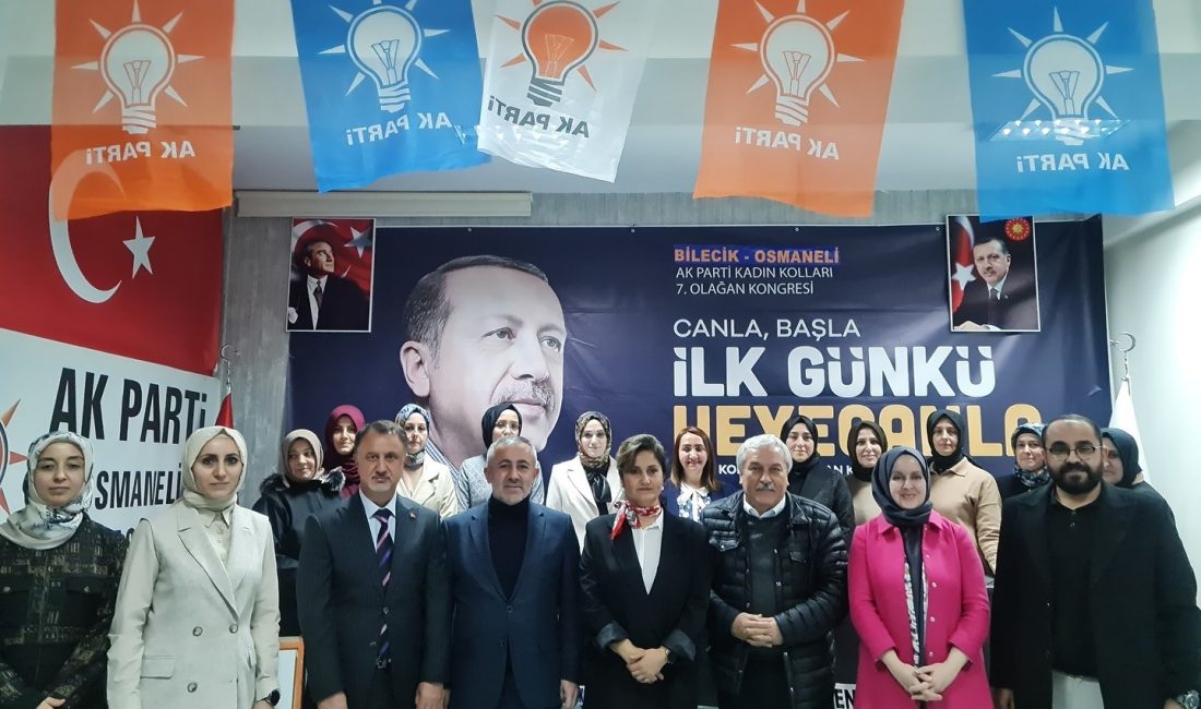 AK PARTİ OSMANELİ KADIN