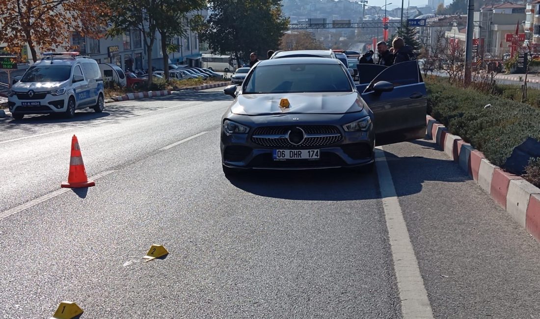 BİLECİK'TE YOLUN KARŞISINA ELİNDEKİ PAZAR ÇANTASIYLA GEÇMEYE ÇALIŞAN YAŞLI KADIN,