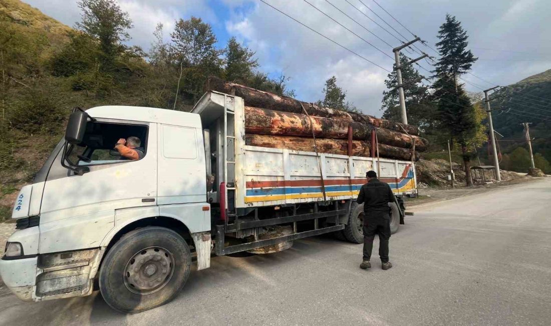 BOLU’DA, ORMAN KAÇAKÇILIĞI DENETİMLERİNDE