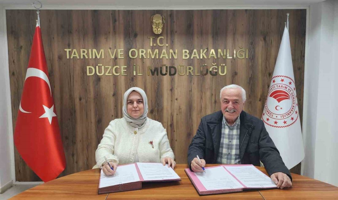 DÜZCE TARIM VE ORMAN