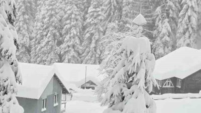 DÜZCE'NİN BİN 500 RAKIMLI SİNEKLİ YAYLASINDA GECEDEN BU YANA ARA