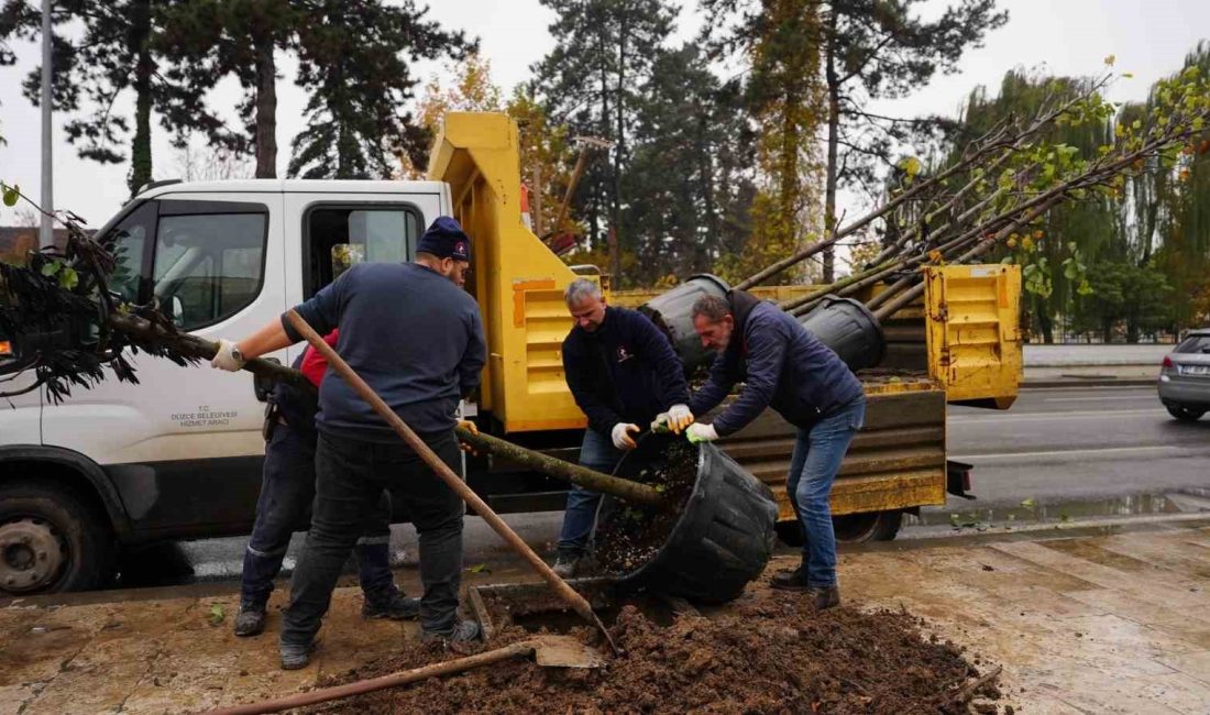 DÜZCE BELEDİYESİ PARK VE