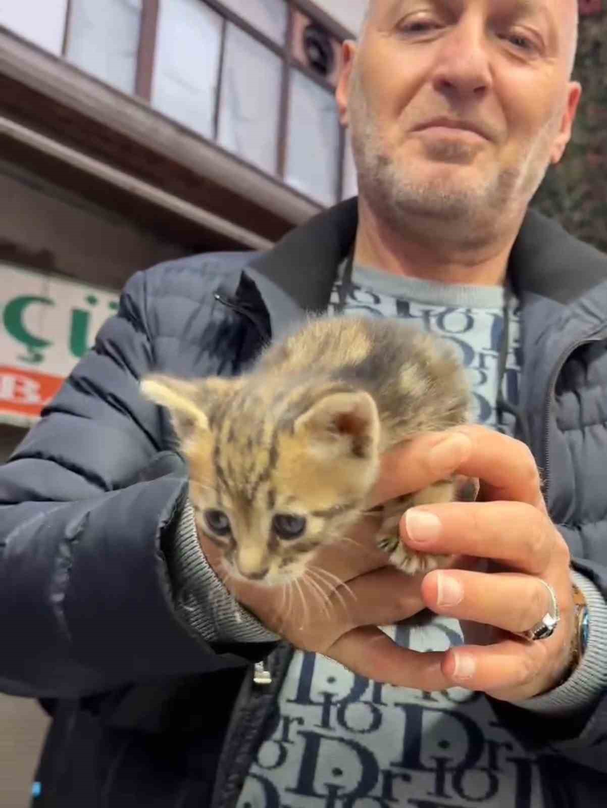 İş yerinde sıkışan kediyi itfaiye kurtardı