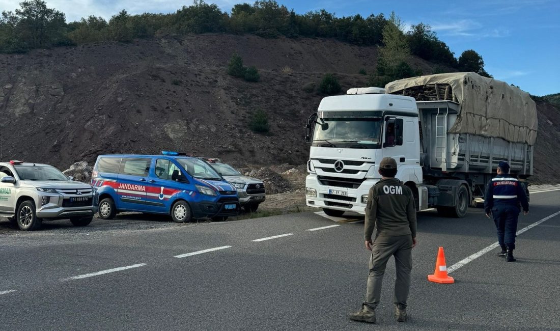 BOLU ORMAN BÖLGE MÜDÜRLÜĞÜNÜ