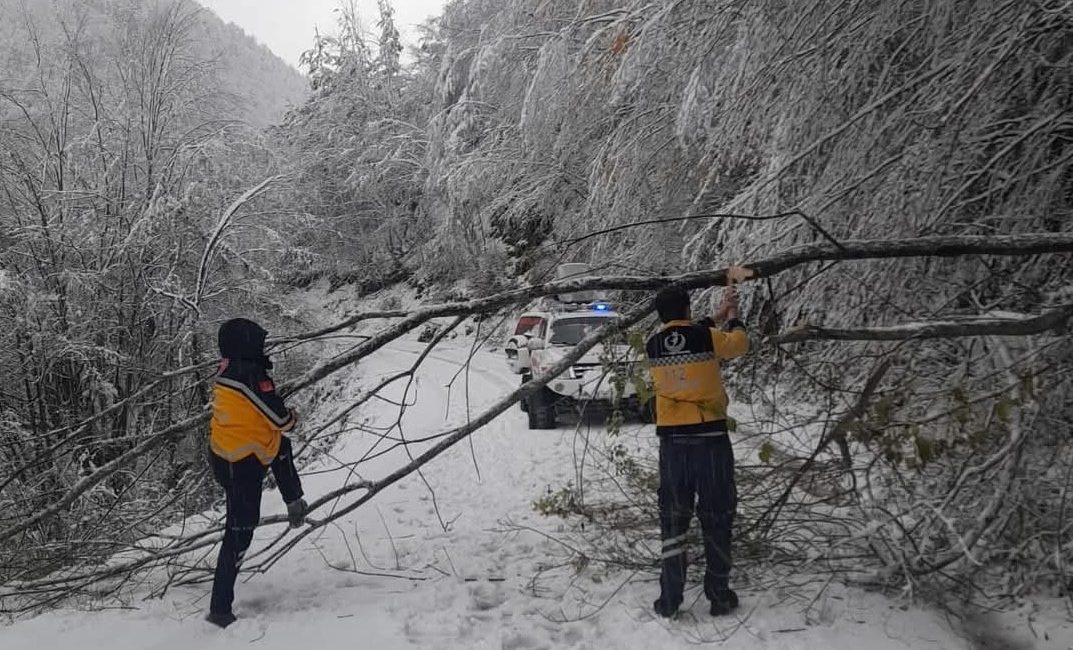 KASTAMONU'DA KAR YAĞIŞI VE DEVRİLEN AĞAÇLAR SEBEBİYLE ULAŞIMIN SAĞLANAMADIĞI KÖYDEKİ