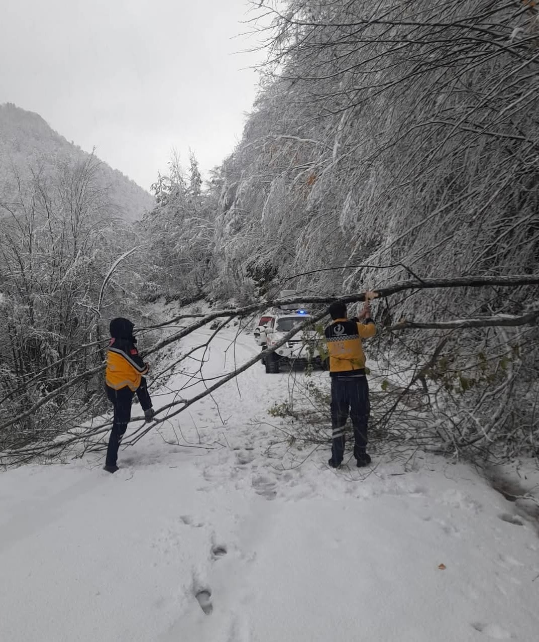 KASTAMONU'DA KAR YAĞIŞI VE DEVRİLEN AĞAÇLAR SEBEBİYLE ULAŞIMIN SAĞLANAMADIĞI KÖYDEKİ