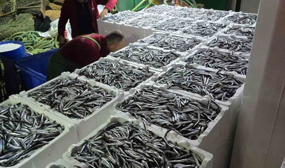 KASTAMONU'NUN ÇATALZEYTİN İLÇESİNDE DENİZE