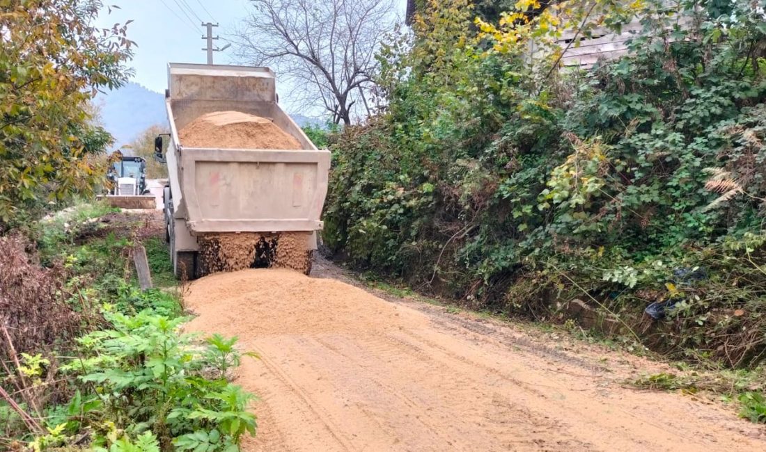 DÜZCE'DE KÖY YOLLARINDA İL