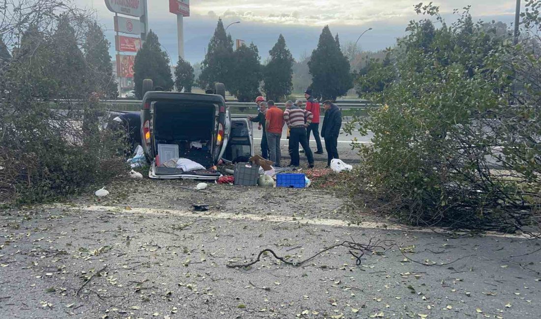 ANADOLU OTOYOLU SAKARYA GEÇİŞİNDE