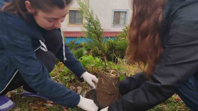 DÜZCE ÜNİVERSİTESİ’NDE EĞİTİM GÖREN VE GENÇLİK VE SPOR MÜDÜRLÜĞÜ ZAHİDÜL