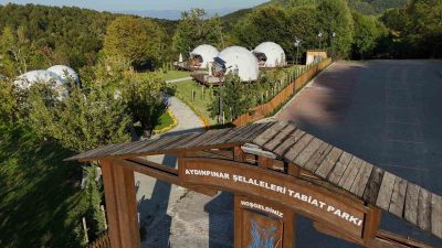 SONBAHARIN GELMESİ İLE BİRLİKTE DÜZCE’DE ORMANLARINDA RENK CÜMBÜŞÜ YAŞANIRKEN, EŞSİZ