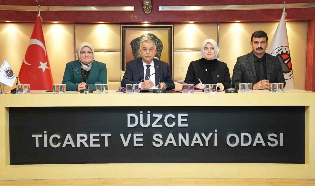 DÜZCE TİCARET VE SANAYİ