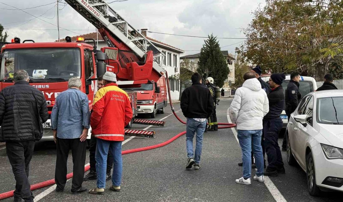 KOCAELİ’NİN BAŞİSKELE İLÇESİNDE 3