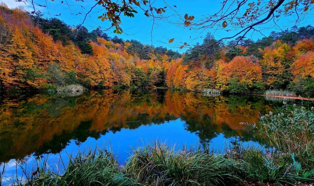 YALOVA'NIN ÇINARCIK İLÇESİNE BAĞLI