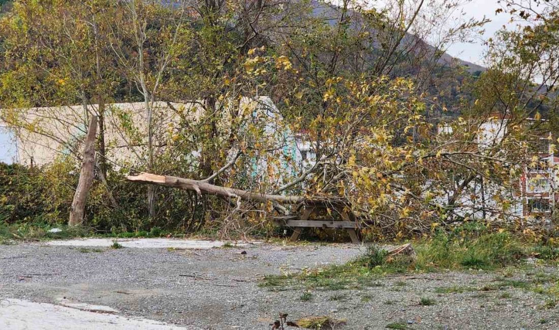 YALOVA'NIN ÇINARCIK İLÇESİNE BAĞLI