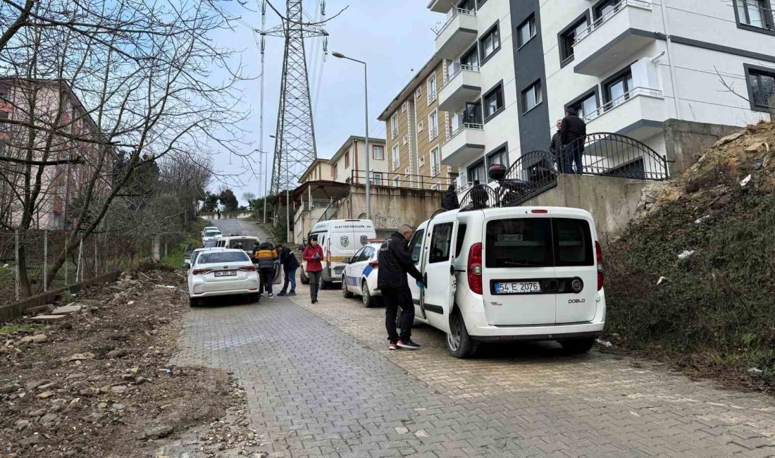 SAKARYA'NIN SERDİVAN İLÇESİNDE 31