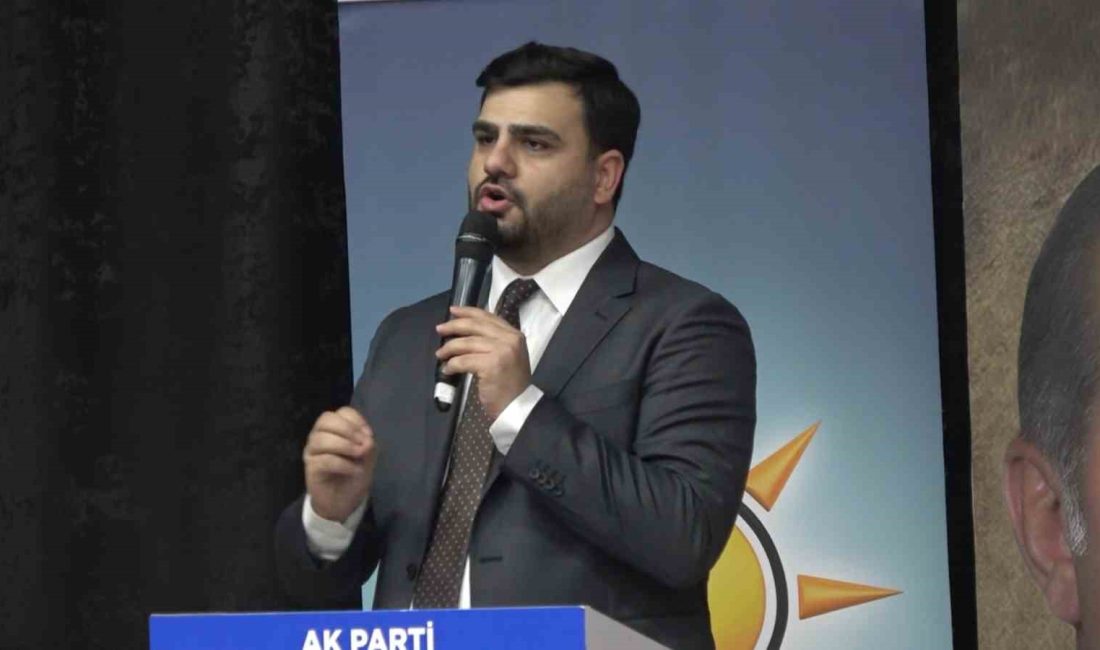 AK PARTİ GENÇLİK KOLLARI