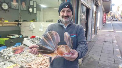 BATI KARADENİZ’DE AVLANAN BALIKÇILARIN AĞINA NADİR GÖRÜLEN KIRLANGIÇ BALIĞI TAKILDI.