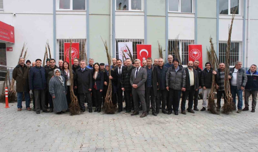 BOZÜYÜK’TE ÇİFTÇİLERE MEYVE FİDANI