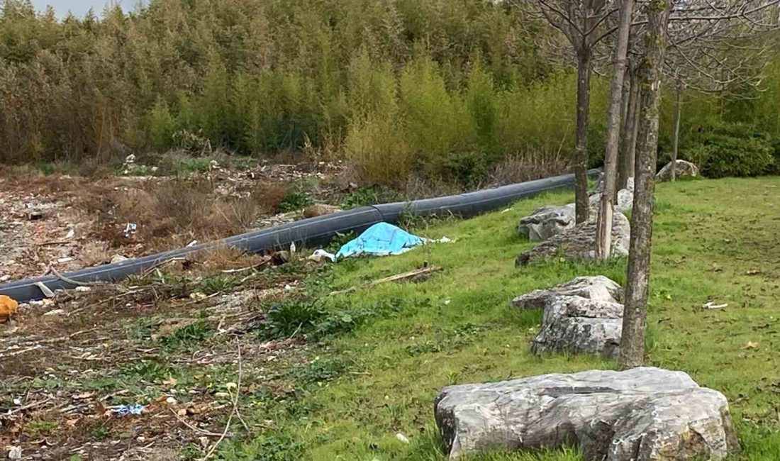 KOCAELİ'NİN İZMİT İLÇESİNDE ELLERİ VE AYAKLARI BAĞLANMIŞ HALDEKİ CESEDİ DENİZDEN