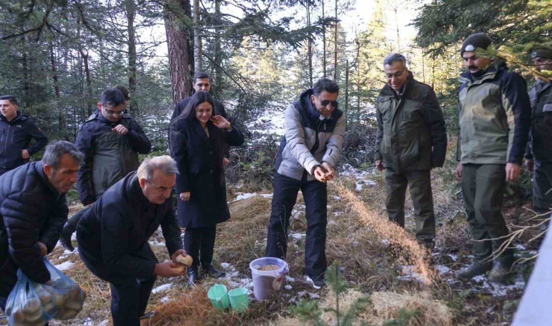 DOĞADA AÇ KALAN YABAN