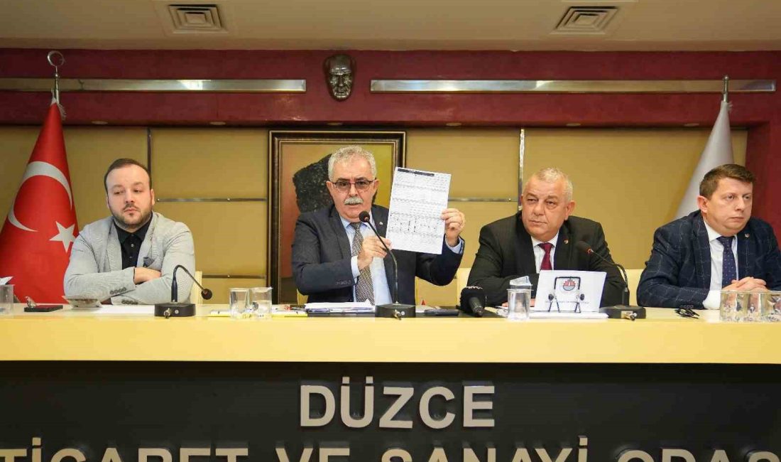 DÜZCE TİCARET VE SANAYİ ODASI (DTSO) YENİ HİZMET BİNASI YAPIMI