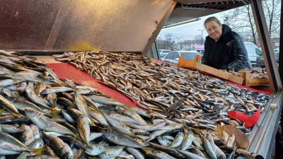 KARADENİZ'DEKİ FIRTINA BALIKÇILARI ZOR DURUMDA BIRAKIRKEN, HAMSİ TAHTINI İSTAVRİTE BIRAKTI.