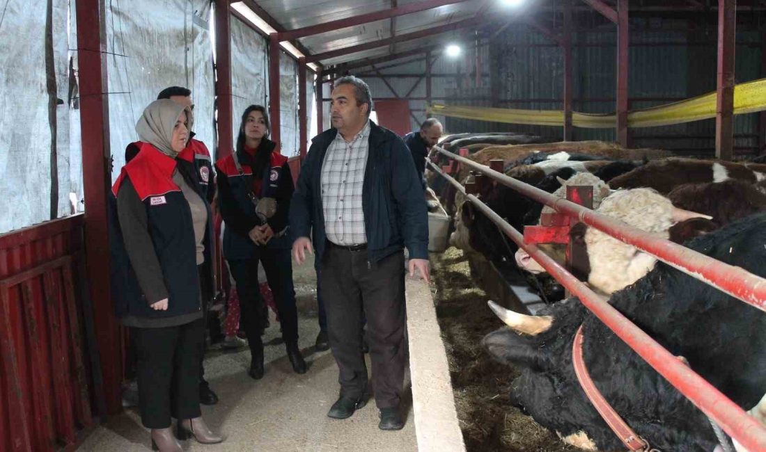 DÜZCE’DE 2020 YILINDA TARIM VE ORMAN BAKANLIĞI'NIN UZMAN ELLER PROJESİNDEN