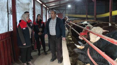 DÜZCE’DE 2020 YILINDA TARIM VE ORMAN BAKANLIĞI'NIN UZMAN ELLER PROJESİNDEN