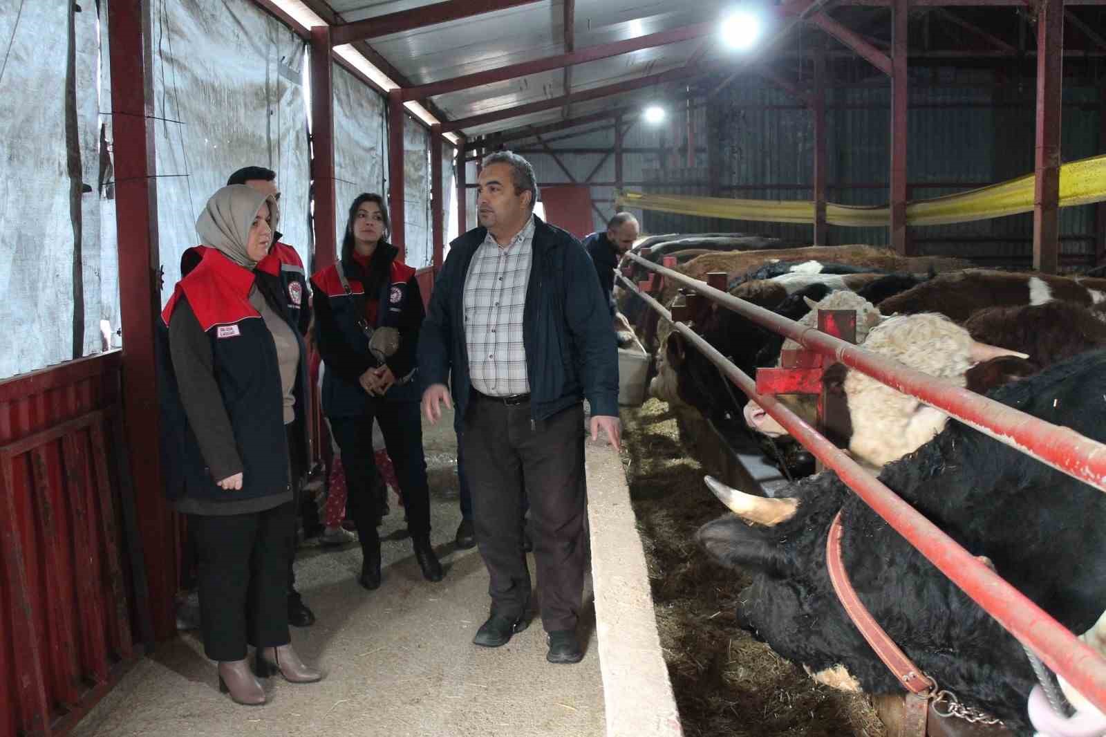 DÜZCE’DE 2020 YILINDA TARIM VE ORMAN BAKANLIĞI'NIN UZMAN ELLER PROJESİNDEN