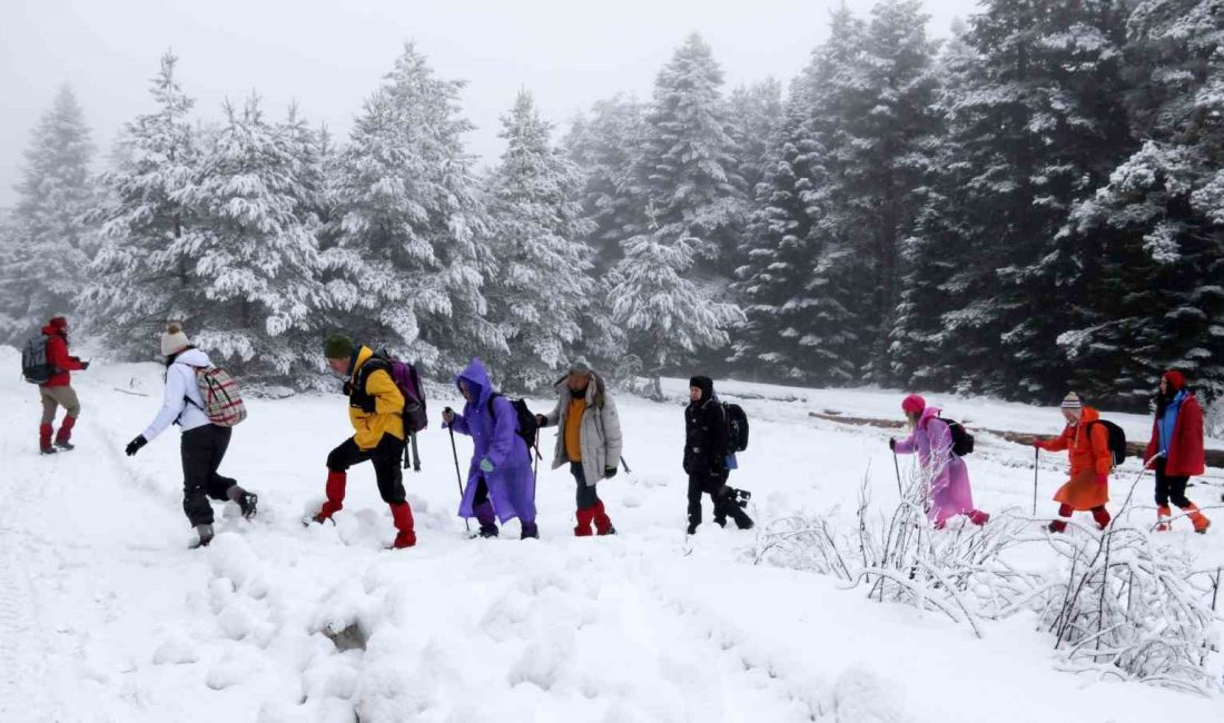 BOLU’DA 30 DOĞASEVER VATANDAŞ,