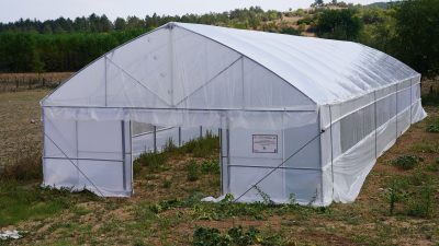 TARIM VE ORMAN BAKANLIĞI TARIM REFORMU GENEL MÜDÜRLÜĞÜ TARAFINDAN YÜRÜTÜLEN