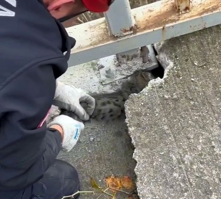 SAKARYA’DA KÖPRÜ KORKULUĞUNUN ALTINA