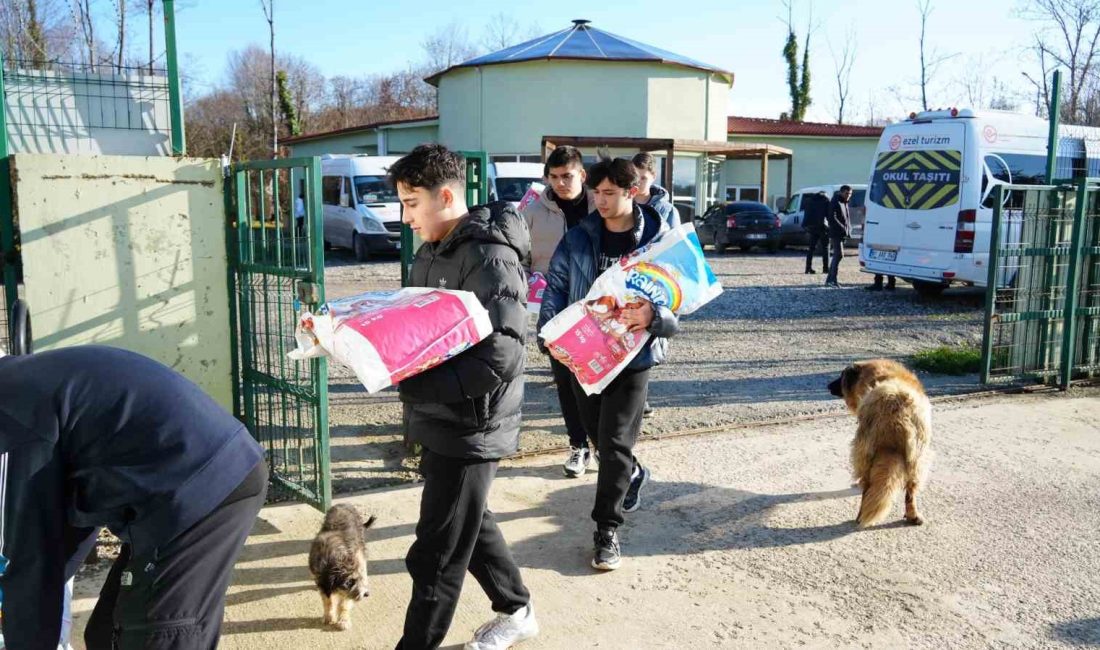 DÜZCELİ ÖĞRENCİLER SOKAK HAYVANLARI