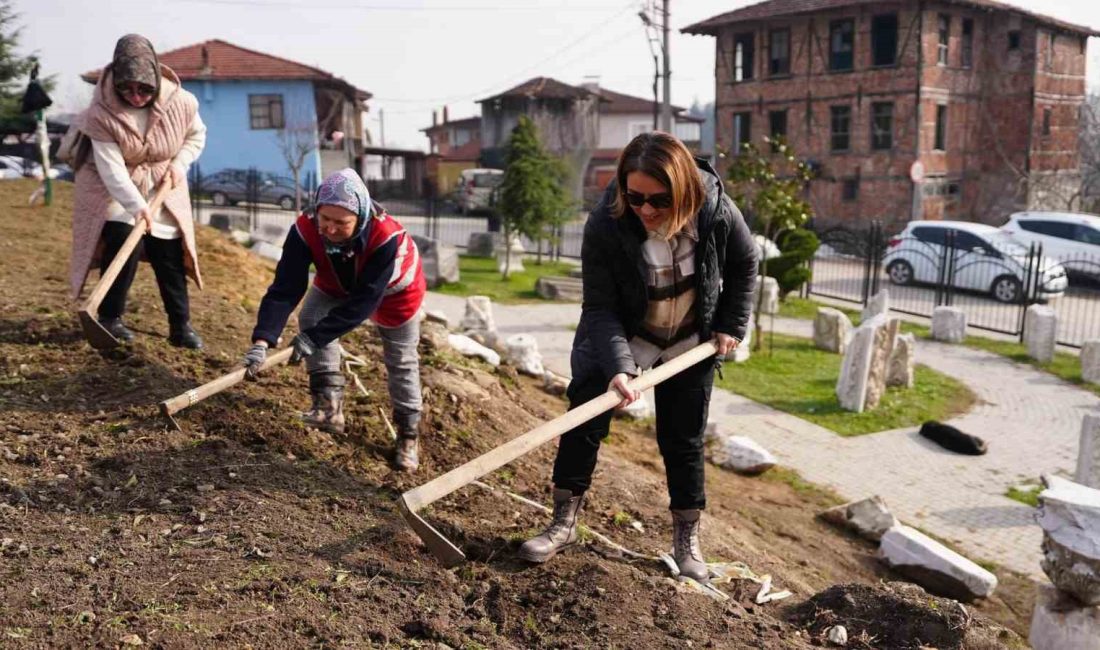 BATI KARADENİZ BÖLGESİNİN TEK