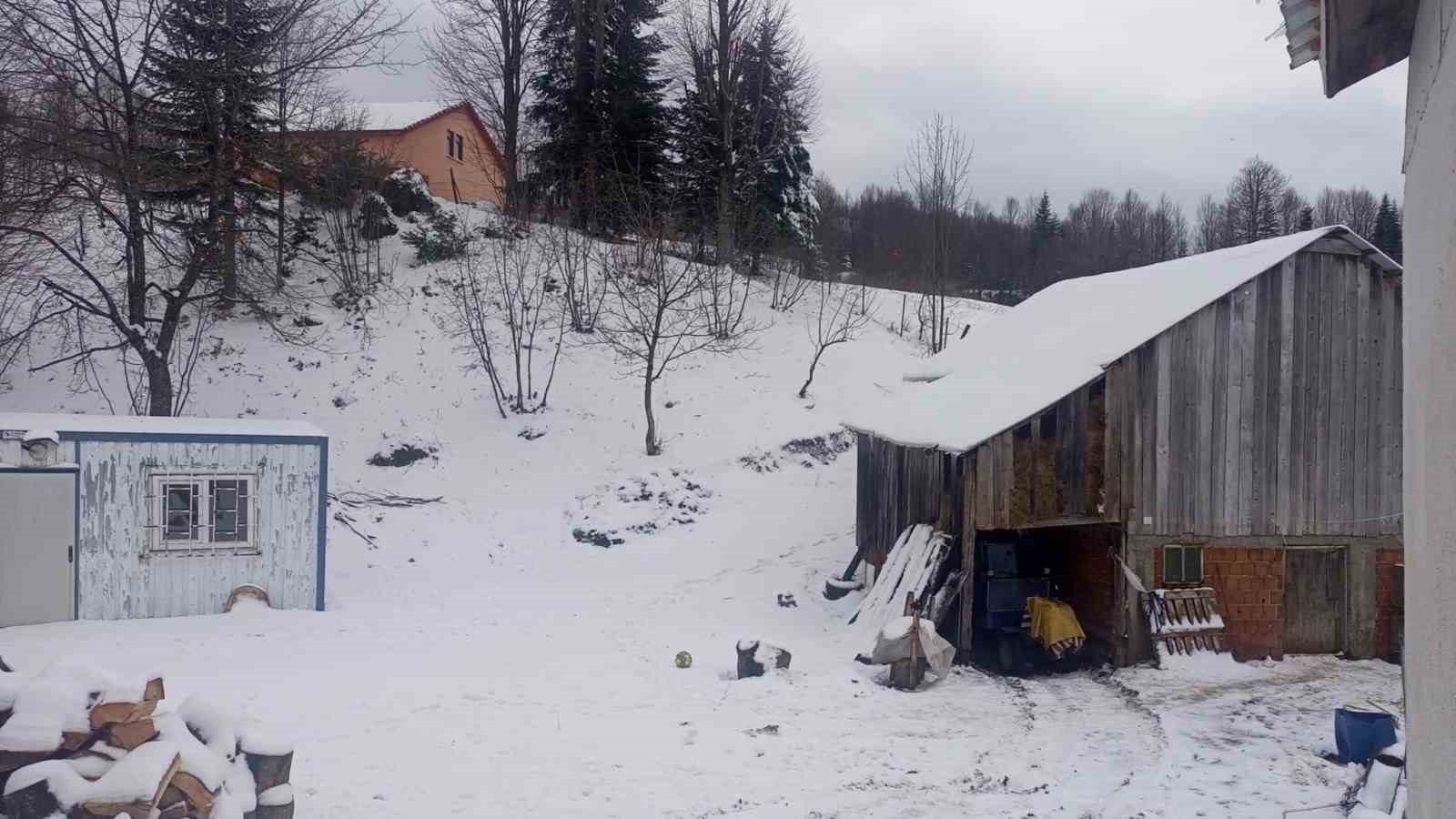 SAKARYA'NIN HENDEK İLÇESİNİN YÜKSEK KESİMLERİ ETKİLİ OLAN KAR YAĞIŞI SONRASINDA