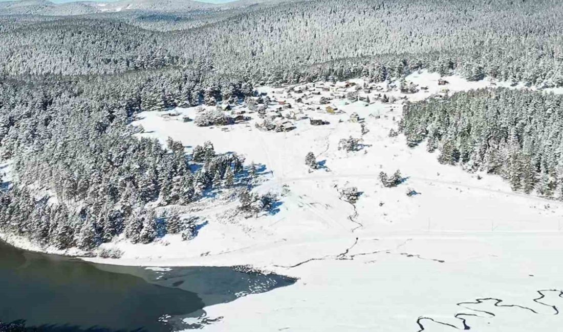 BOLU'NUN 14 YAYLASINI BÜNYESİNDE