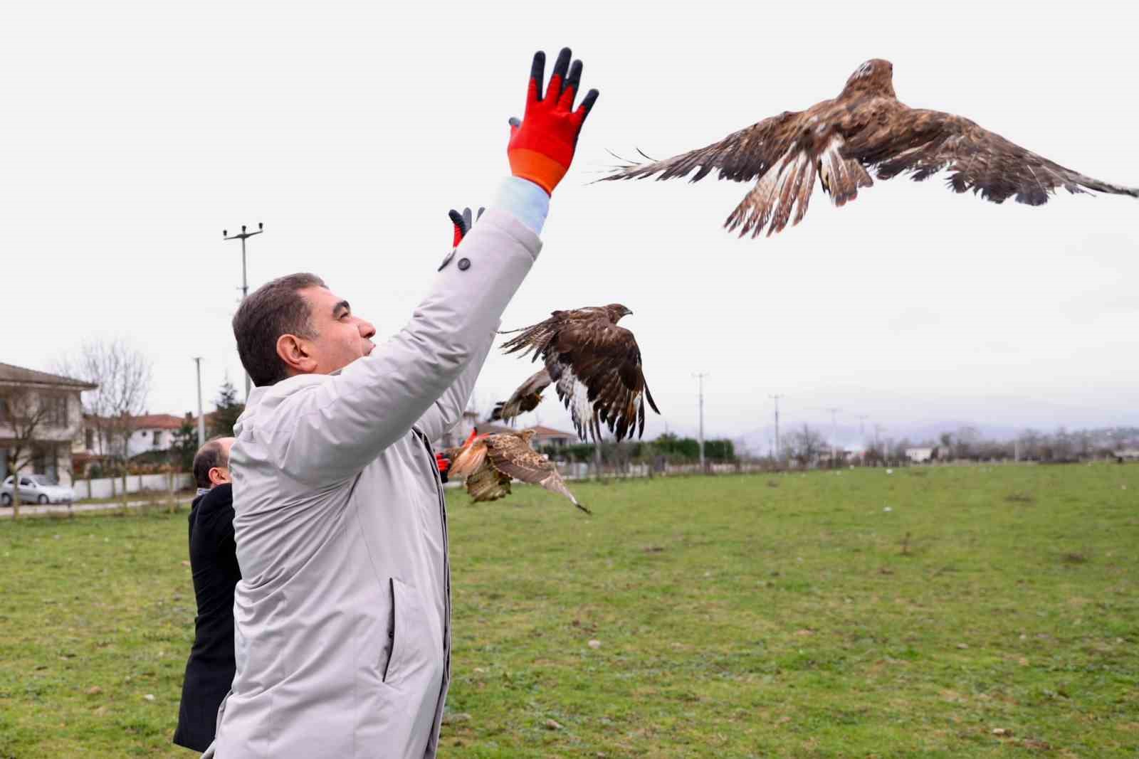 DÜZCE’DE VATANDAŞLAR TARAFINDAN YARALI OLARAK BULUNAN VE DOĞA KORUMA VE