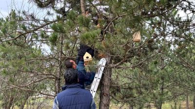 KASTAMONU ÜNİVERSİTESİ ÖĞRENCİLERİ TARAFINDAN EĞİTİCİ AHŞAP OYUNCAKLAR DERSİ KAPSAMINDA TASARLANAN