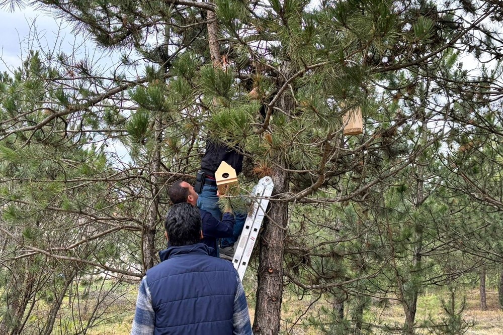 KASTAMONU ÜNİVERSİTESİ ÖĞRENCİLERİ TARAFINDAN EĞİTİCİ AHŞAP OYUNCAKLAR DERSİ KAPSAMINDA TASARLANAN