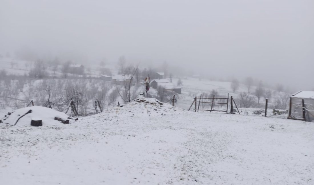 SAKARYA’NIN YÜKSEK KESİMLERİNDE KAR