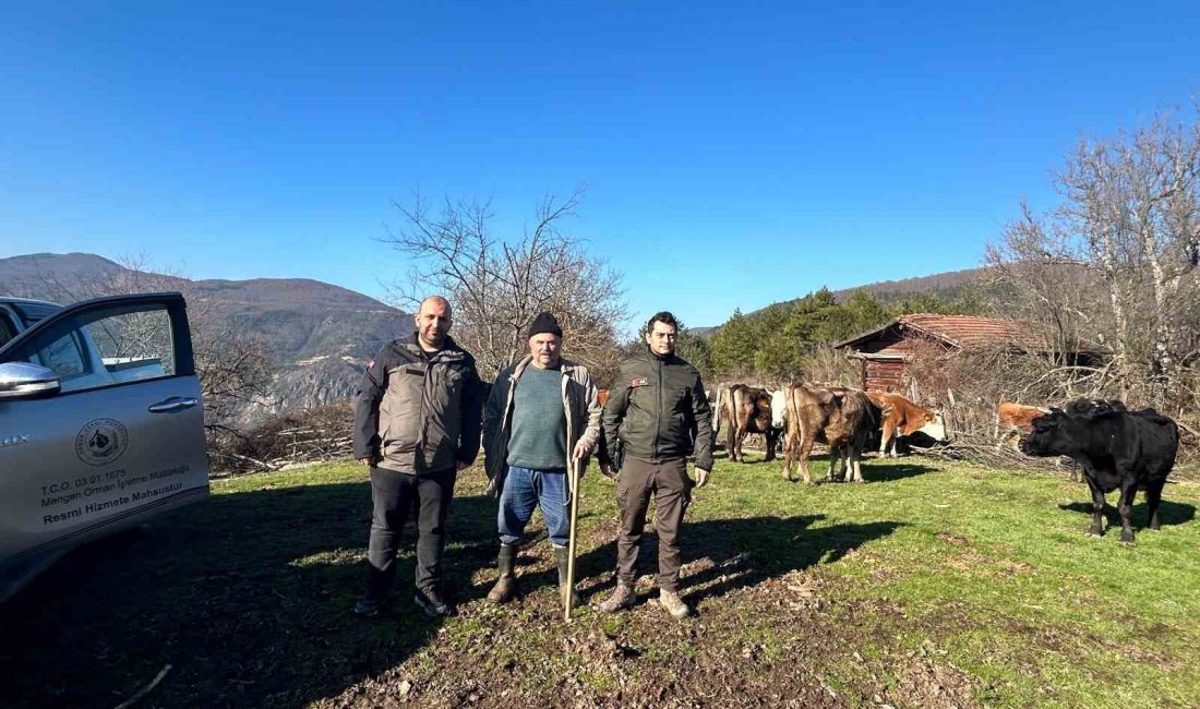 BOLU’NUN MENGEN İLÇESİNDE 10