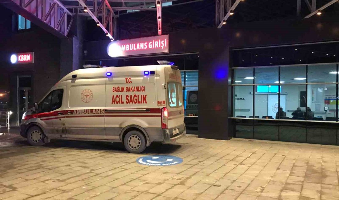 BİLECİK'TE ORTA REFÜJE ÇARPAN