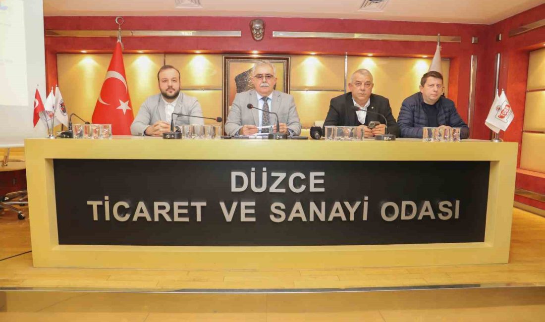 DÜZCE TİCARET VE SANAYİ