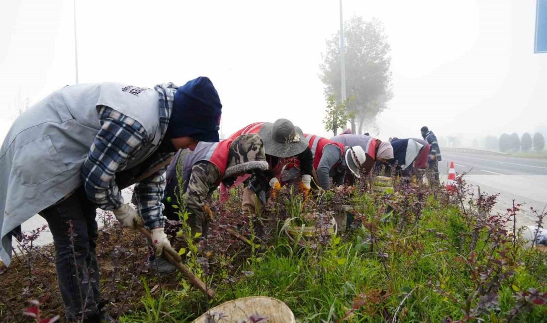 DÜZCE BELEDİYESİ PARK VE