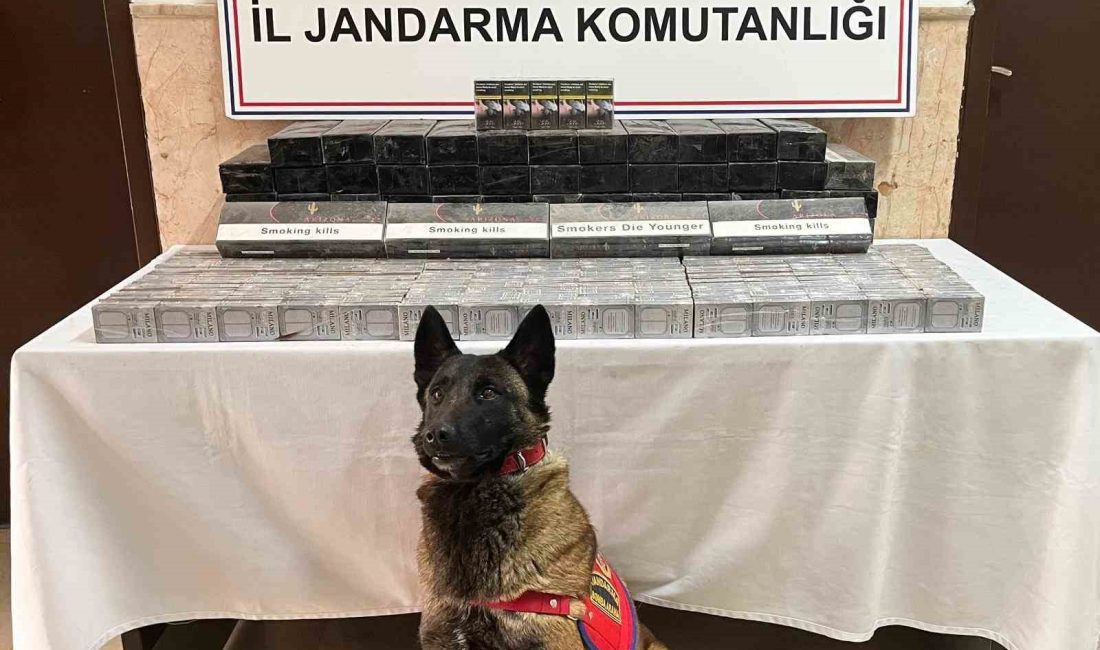 DÜZCE’NİN KAYNAŞLI İLÇESİNDE JANDARMA